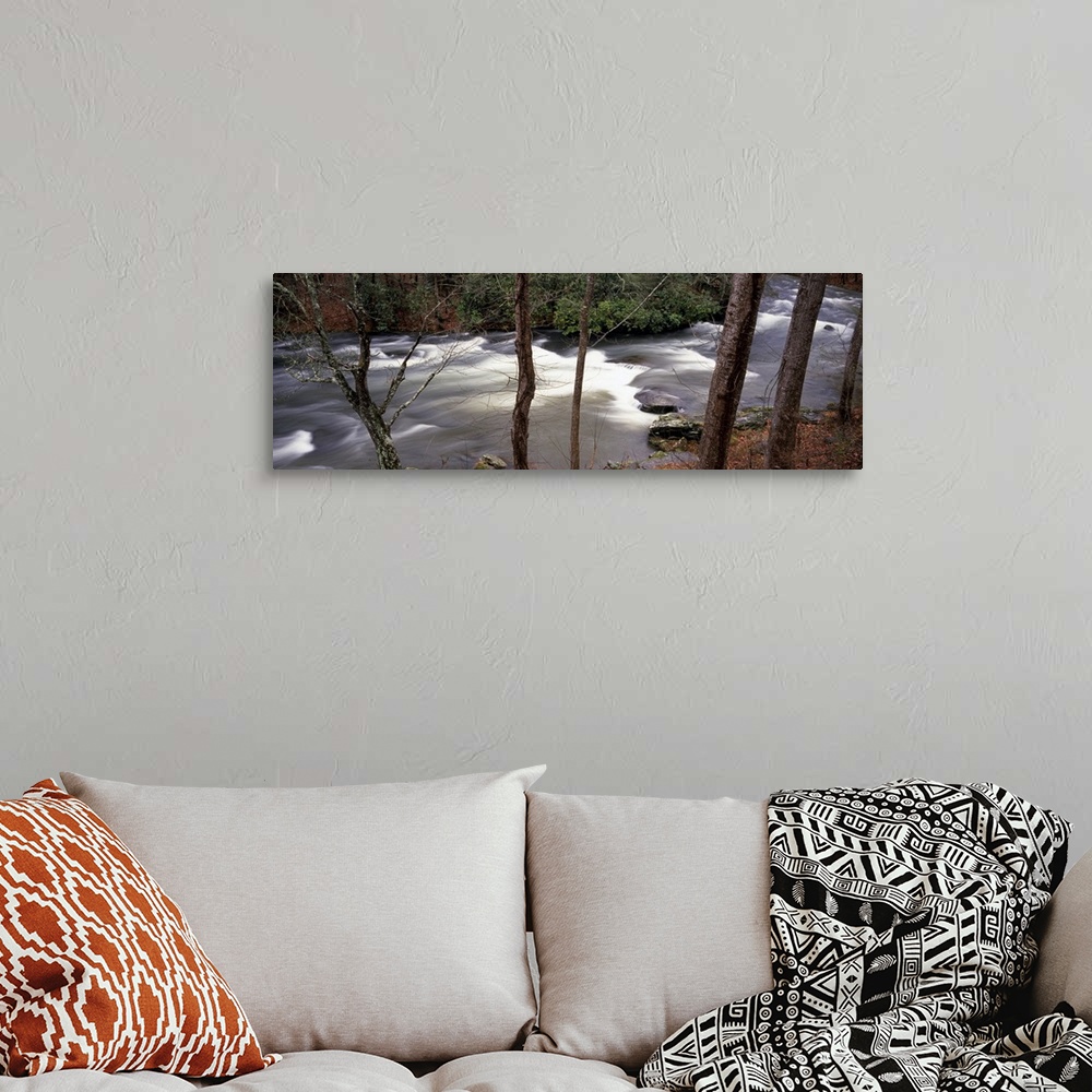 A bohemian room featuring Big, horizontal photograph of trees in a forest surrounding a rushing, rocky stream in the Appala...