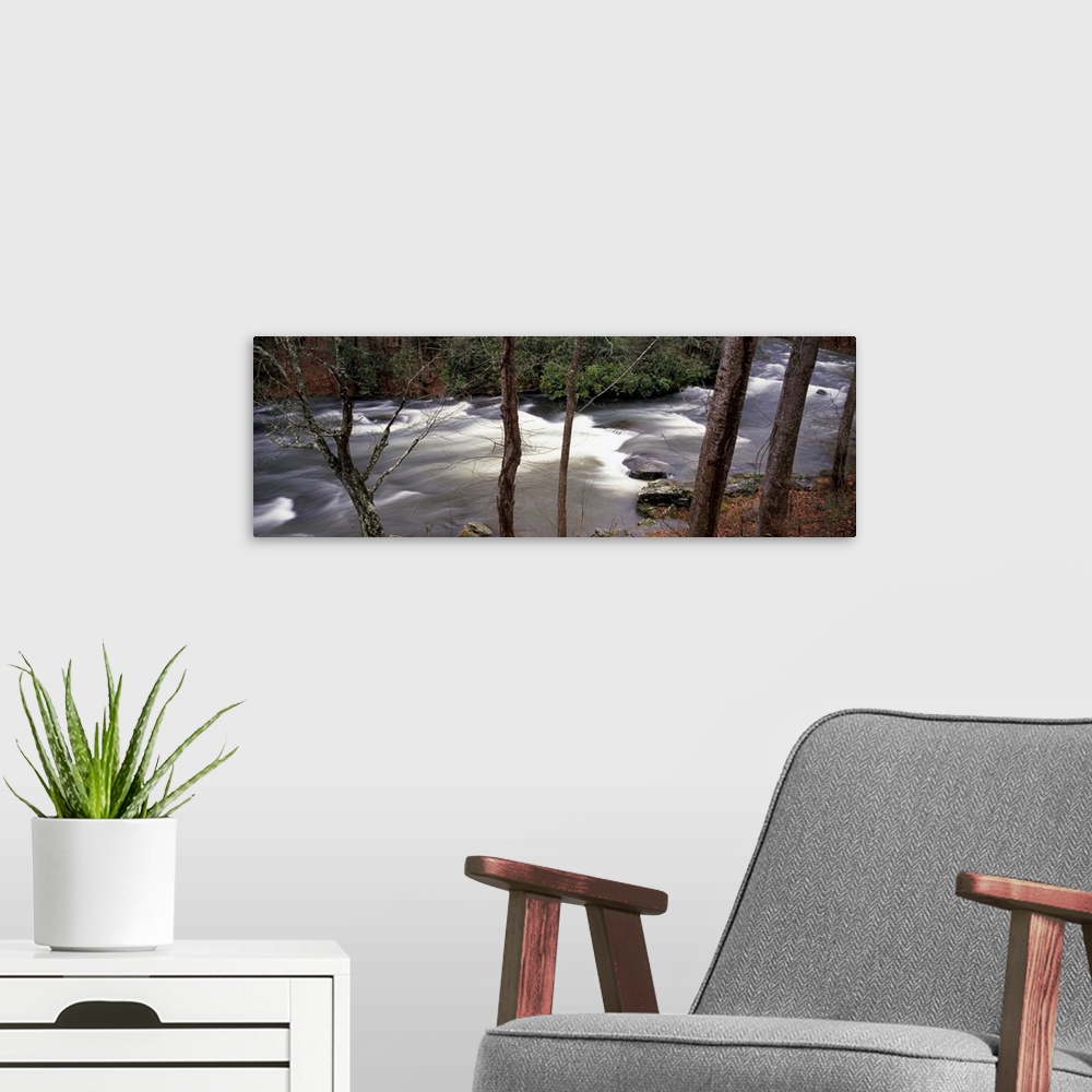 A modern room featuring Big, horizontal photograph of trees in a forest surrounding a rushing, rocky stream in the Appala...