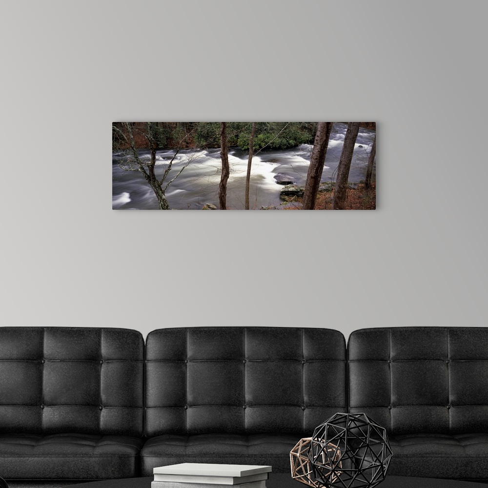 A modern room featuring Big, horizontal photograph of trees in a forest surrounding a rushing, rocky stream in the Appala...