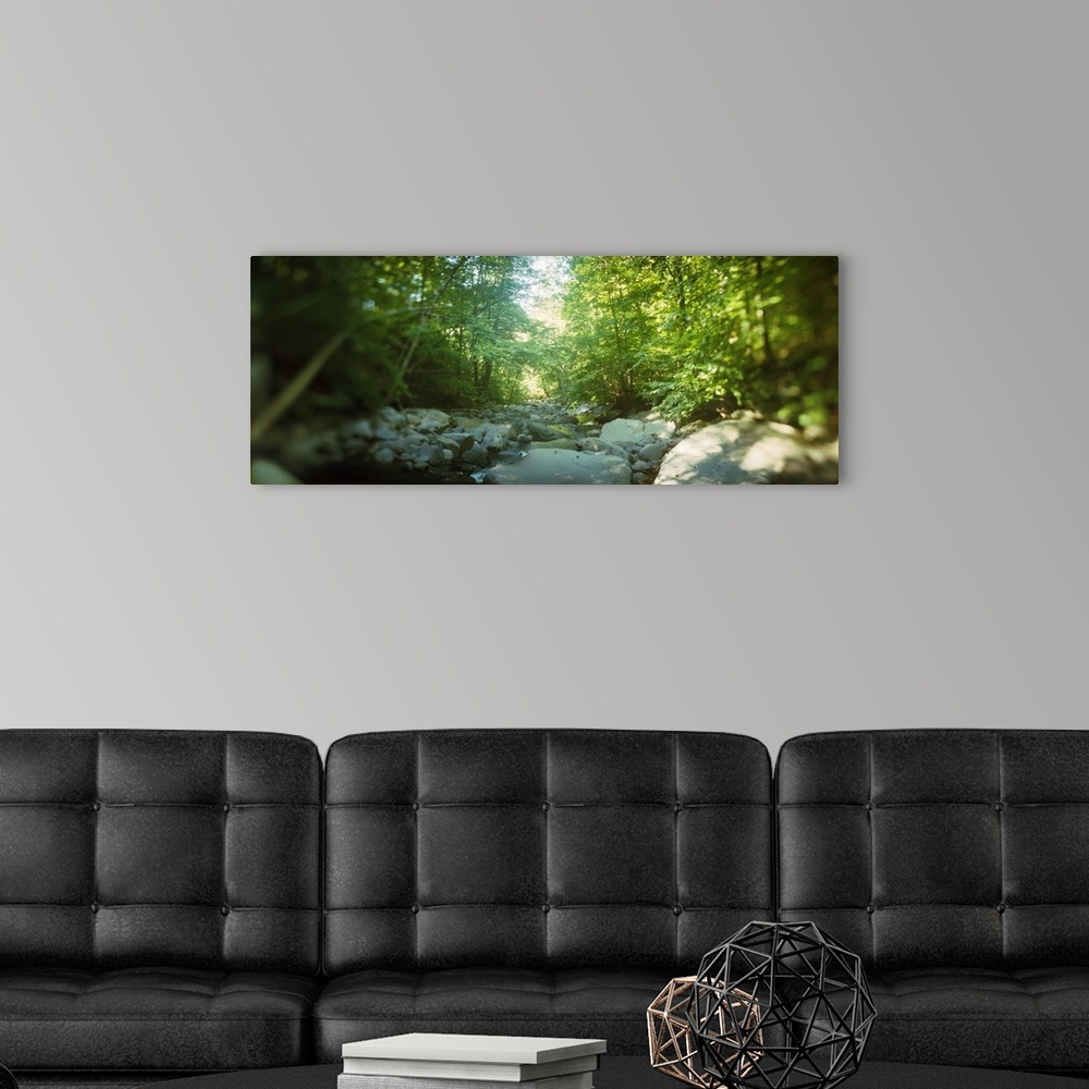 A modern room featuring Stream flowing through a forest Kaaterskill Falls Catskill Mountains Hunter Greene County New Yor...