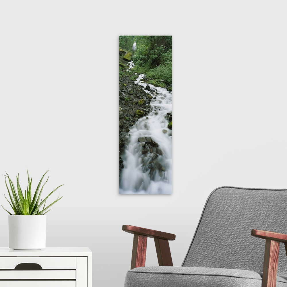 A modern room featuring Stream flowing through a forest, Wahkeena Waterfall, Columbia River Gorge, Oregon