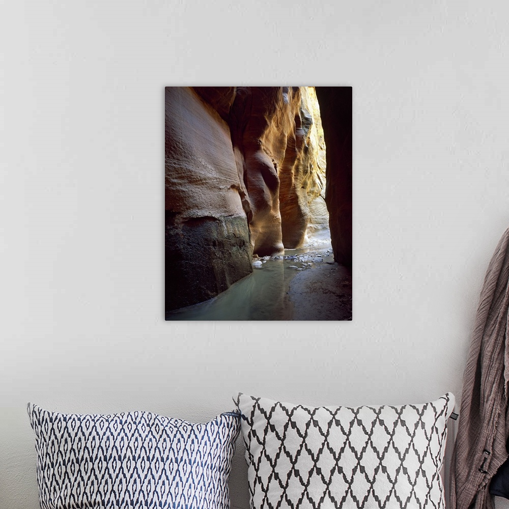 A bohemian room featuring Stream flowing through a slot canyon, Orderville Canyon, Zion National Park, Utah,