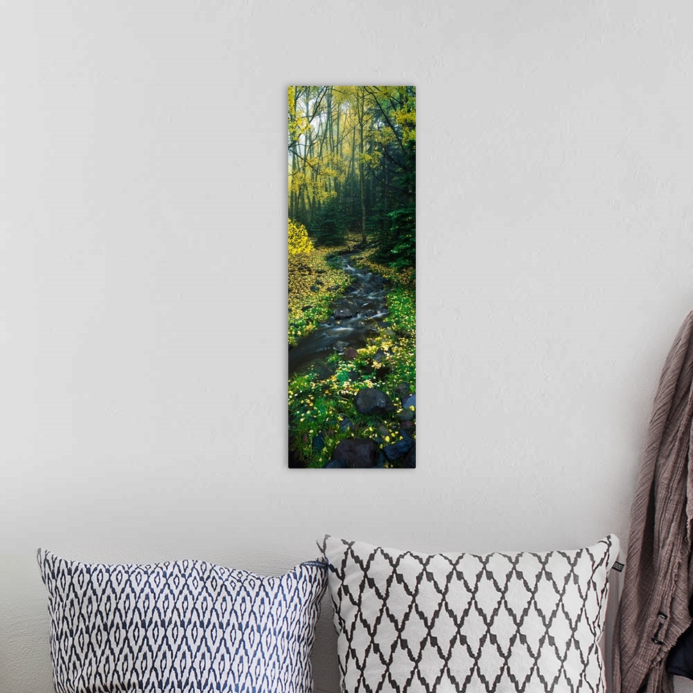 A bohemian room featuring Stream flowing through forest