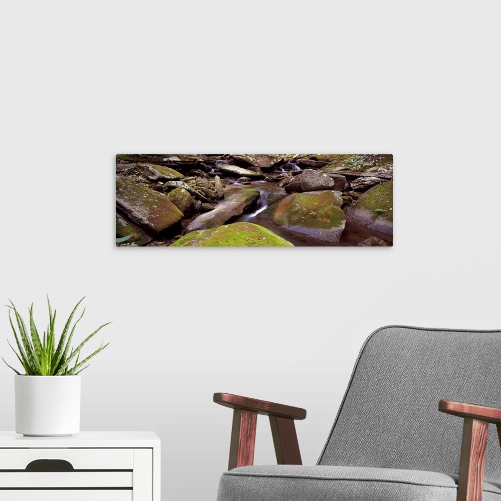 A modern room featuring Stream flowing through rocks, Appalachian Mountains, North Carolina,