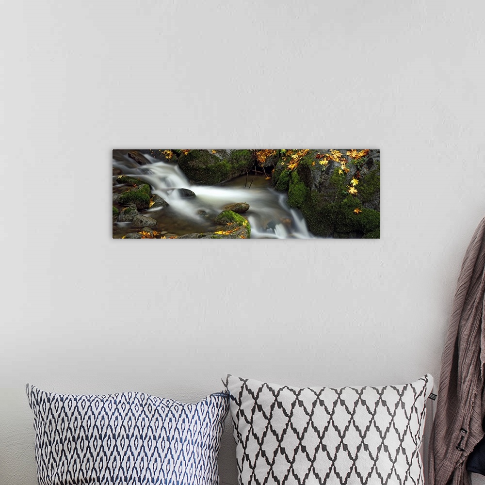 A bohemian room featuring Stream flowing through rocks, Ashland City Park, Ashland, Jackson County, Oregon
