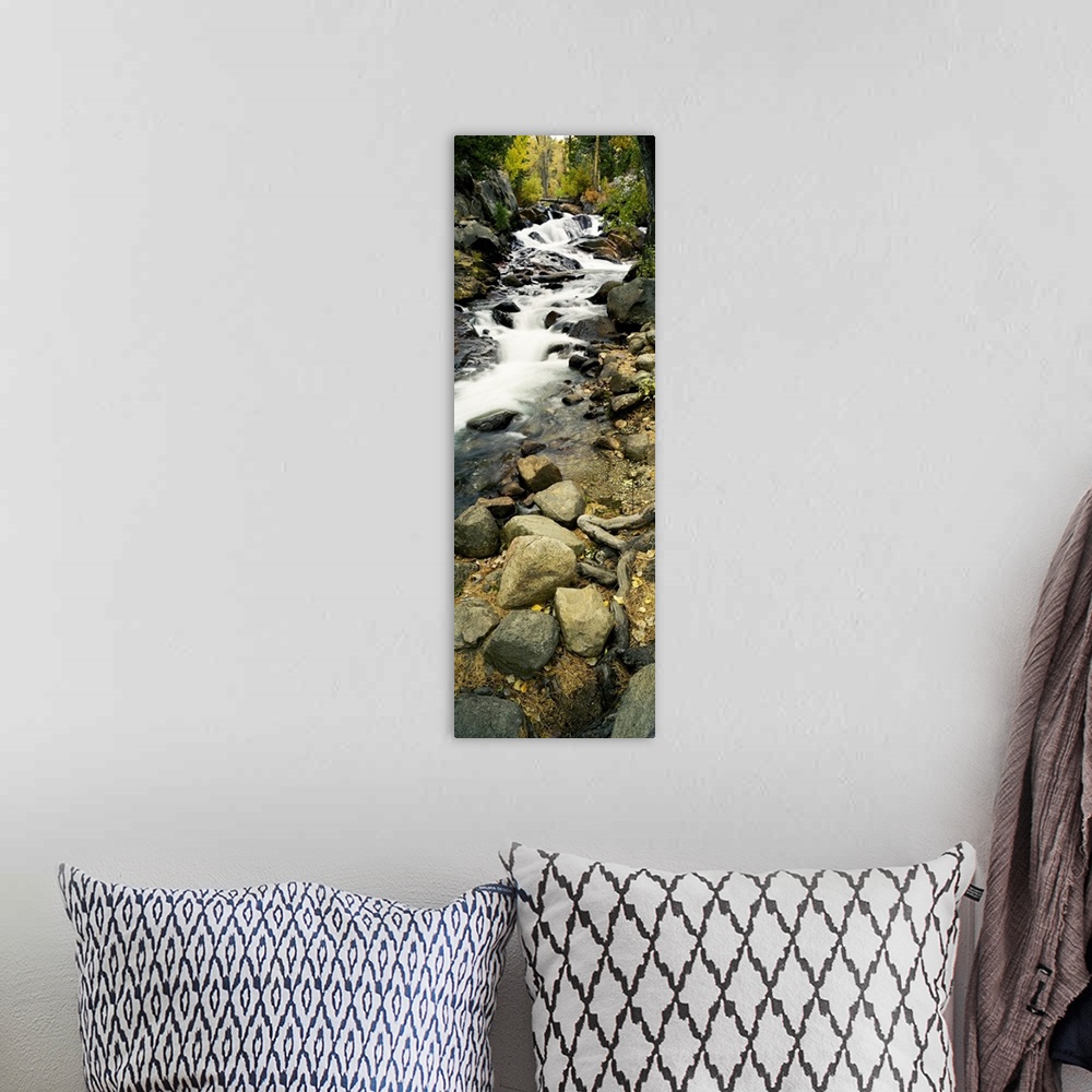 A bohemian room featuring Stream flowing through rocks, Lee Vining Creek, Lee Vining, Mono County, California
