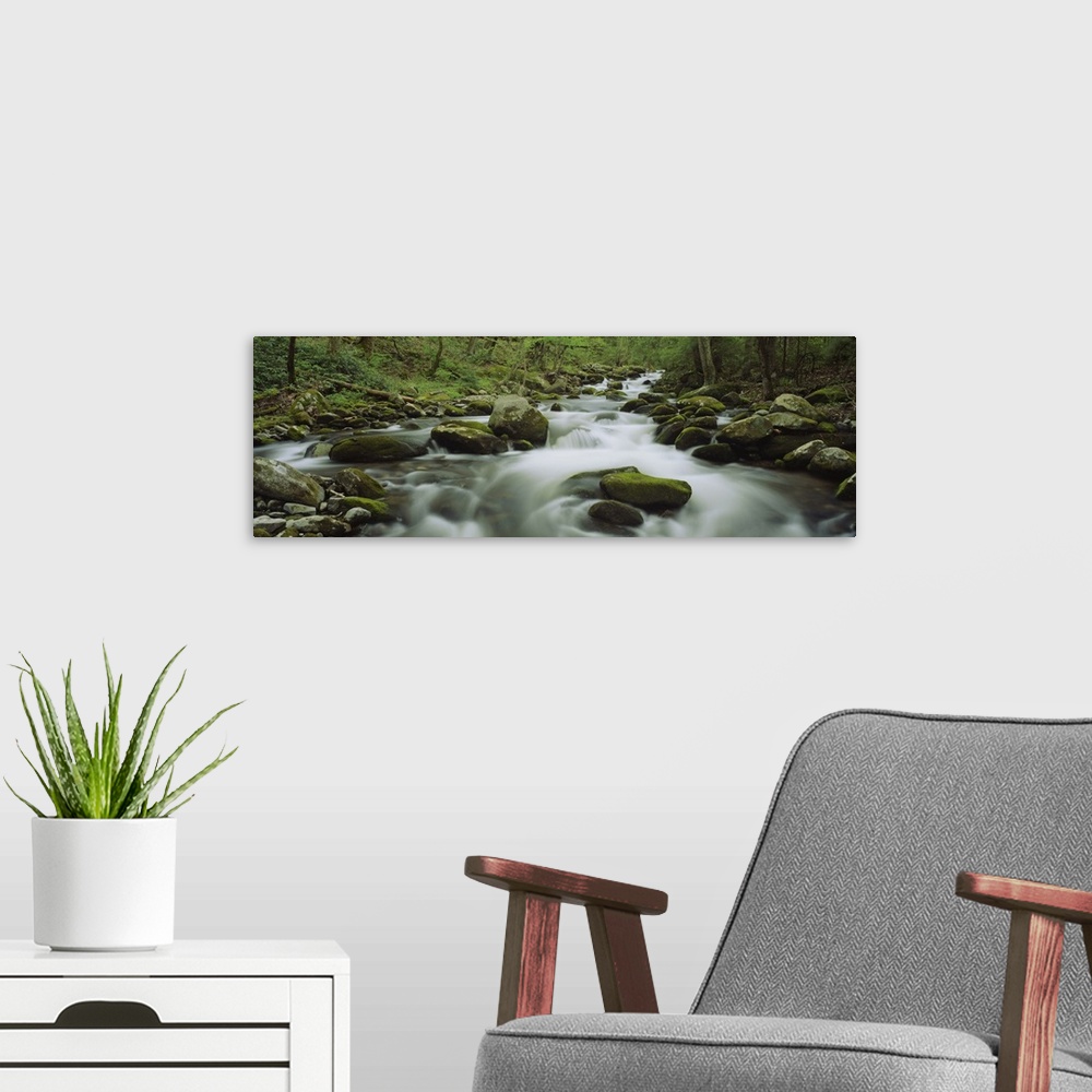 A modern room featuring Wide angle photograph of a rocky stream running through a green forest in the Great Smoky Mountai...