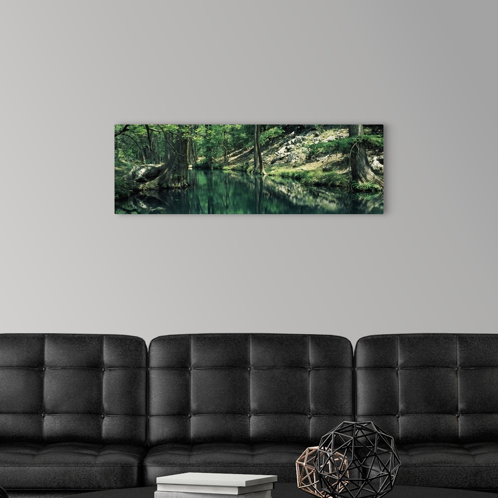 A modern room featuring Stream in a forest, Honey Creek, Texas,