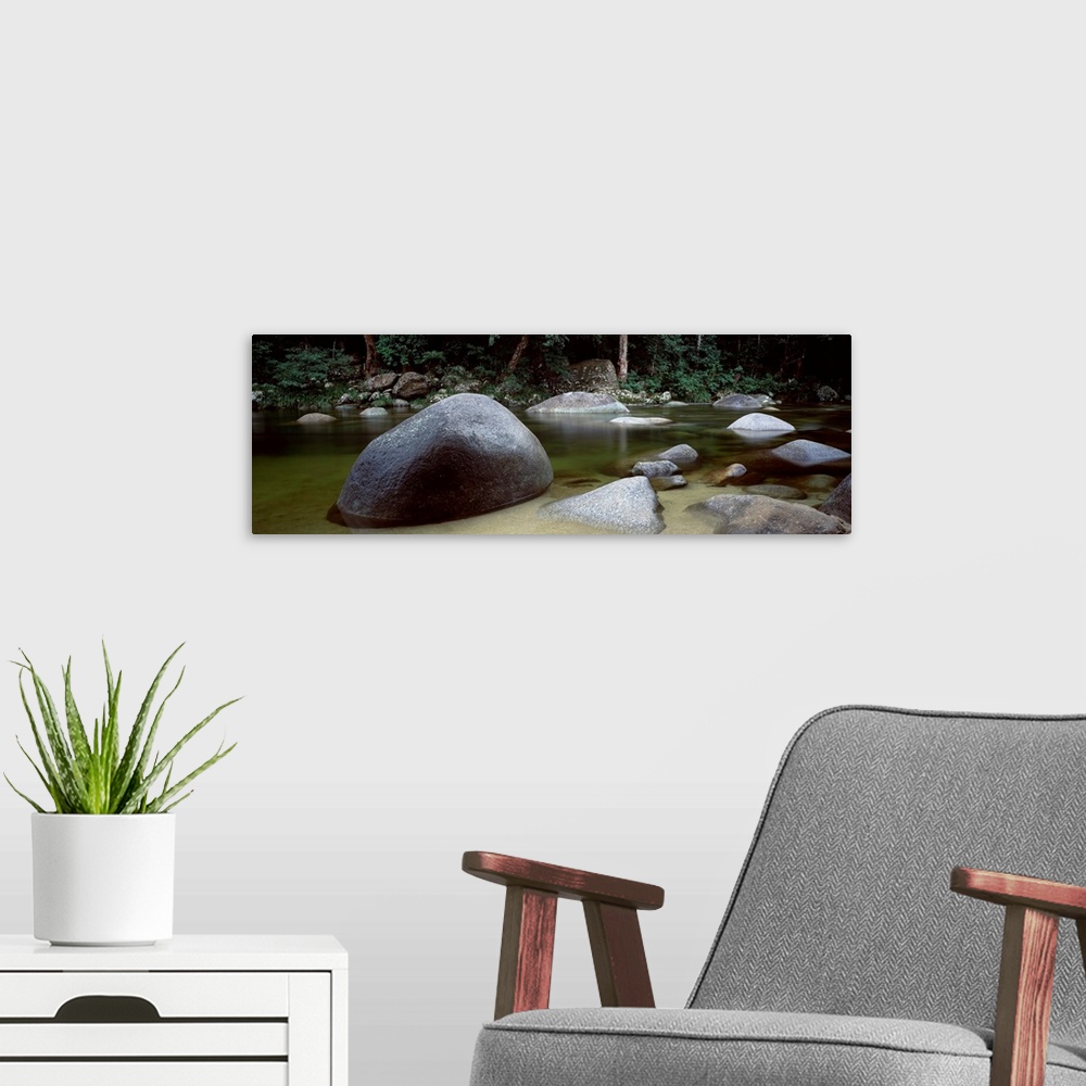 A modern room featuring Stream in a forest, Mossman Gorge, Daintree National Park, Queensland, Australia