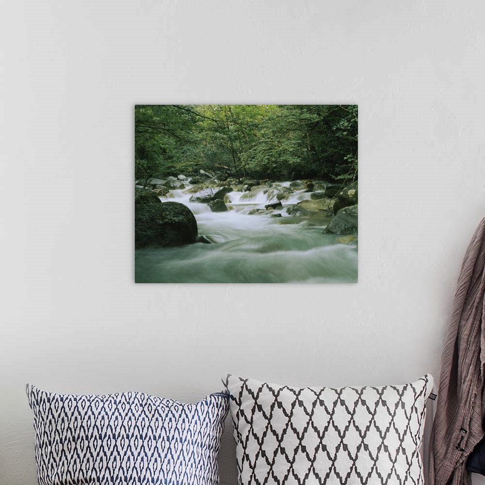 A bohemian room featuring Canvas wall docor of a quick moving stream rushing through a rocky riverbed in a tropical forest.