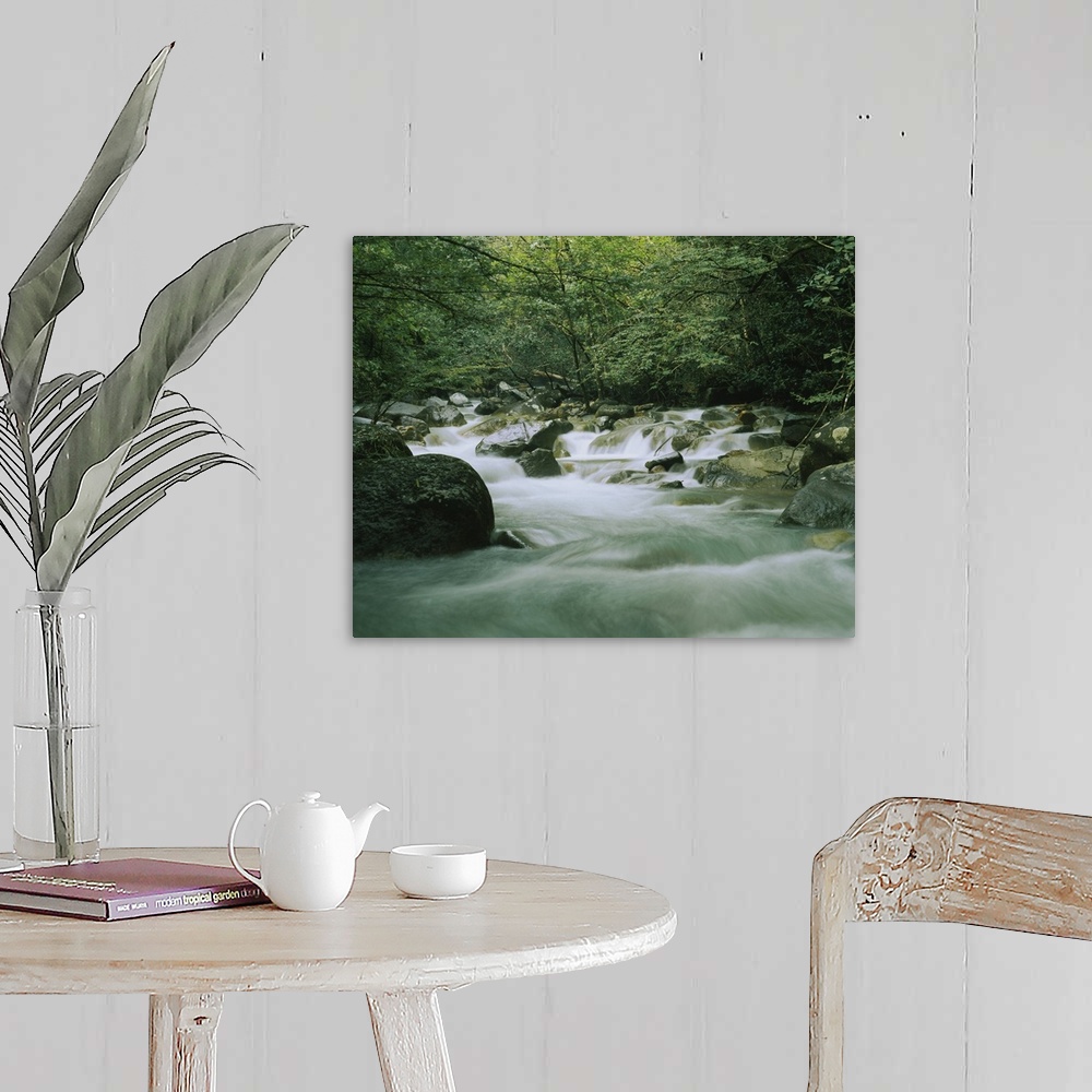 A farmhouse room featuring Canvas wall docor of a quick moving stream rushing through a rocky riverbed in a tropical forest.