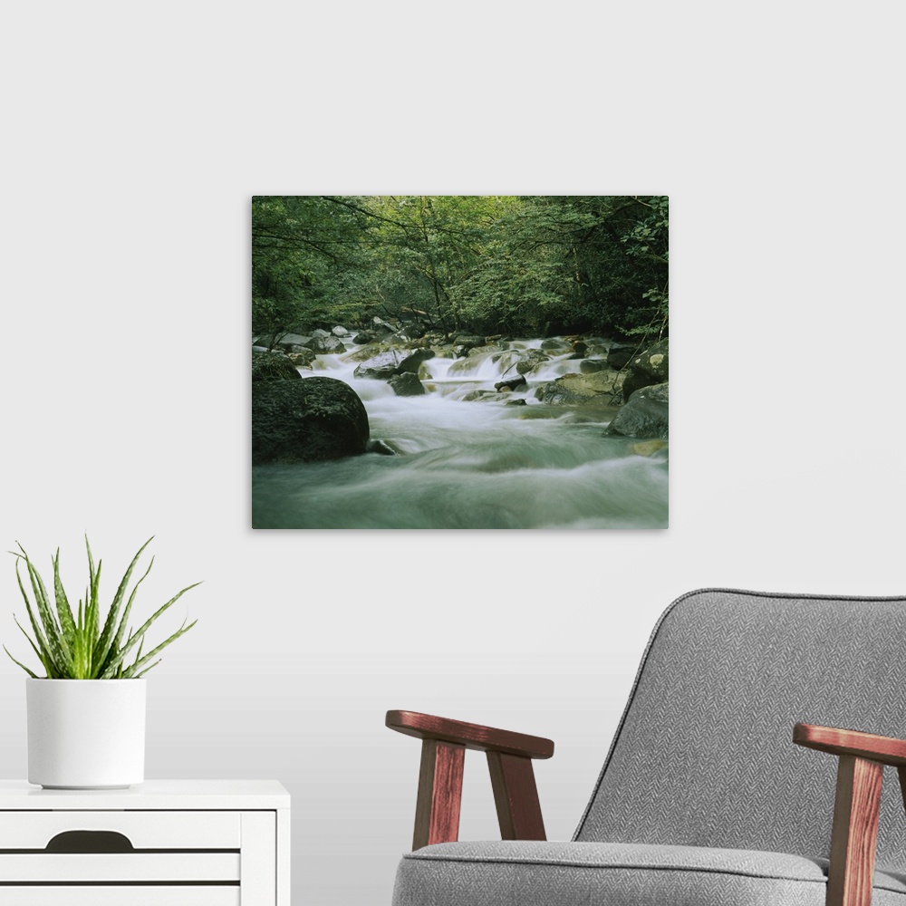 A modern room featuring Canvas wall docor of a quick moving stream rushing through a rocky riverbed in a tropical forest.