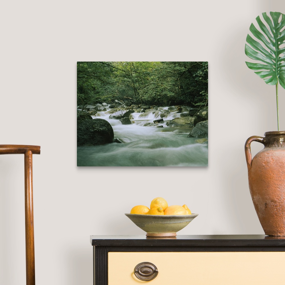 A traditional room featuring Canvas wall docor of a quick moving stream rushing through a rocky riverbed in a tropical forest.