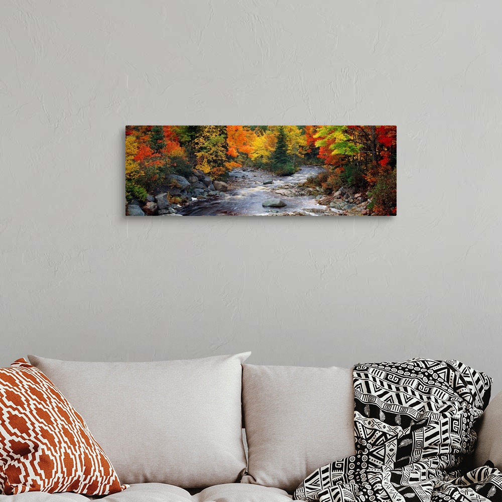 A bohemian room featuring Big, panoramic, photographic wall hanging of a stream with large rocks, flowing through a bright ...