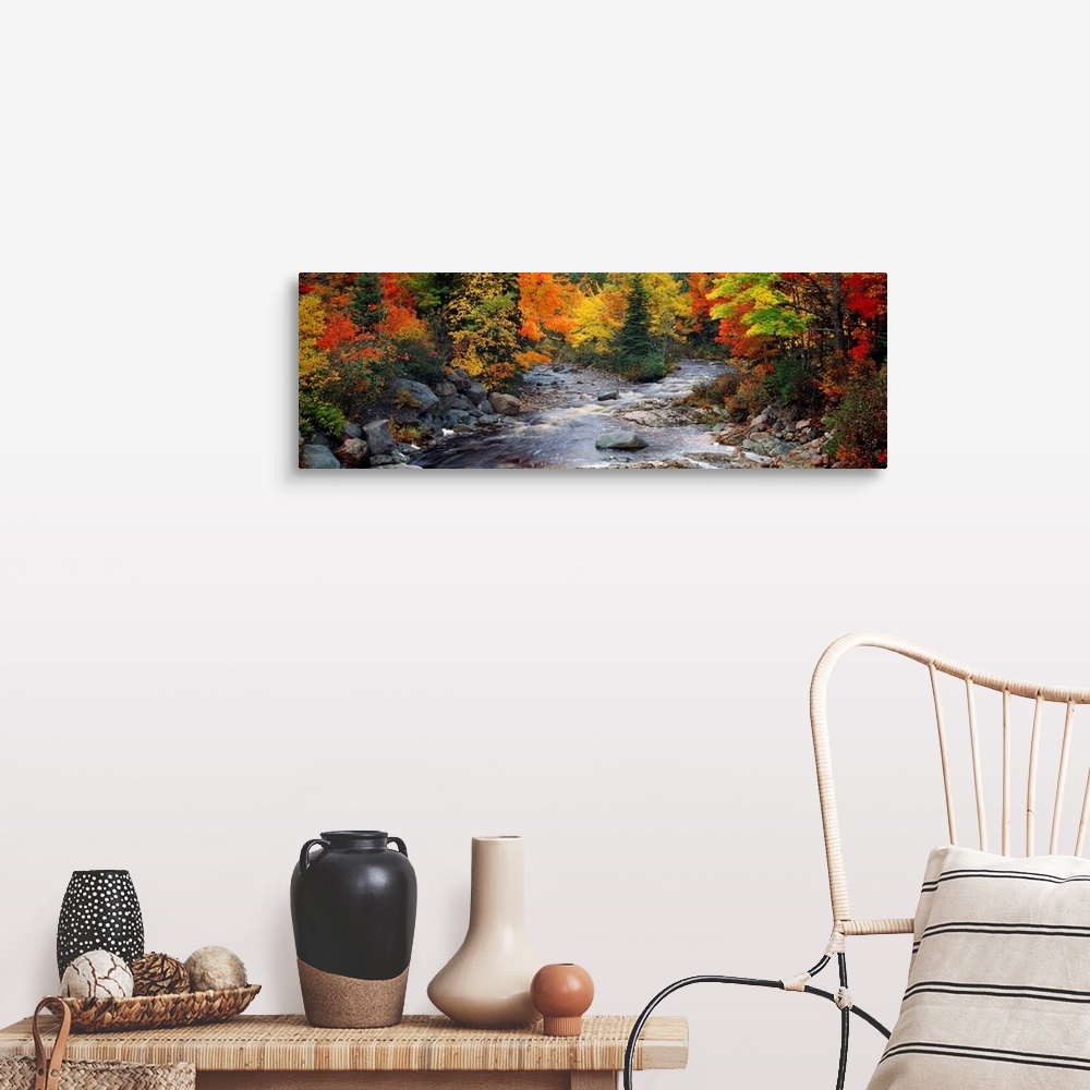 A farmhouse room featuring Big, panoramic, photographic wall hanging of a stream with large rocks, flowing through a bright ...