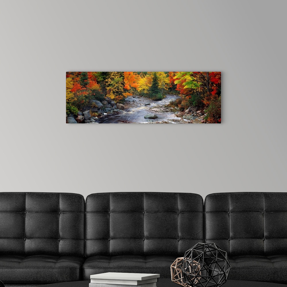 A modern room featuring Big, panoramic, photographic wall hanging of a stream with large rocks, flowing through a bright ...