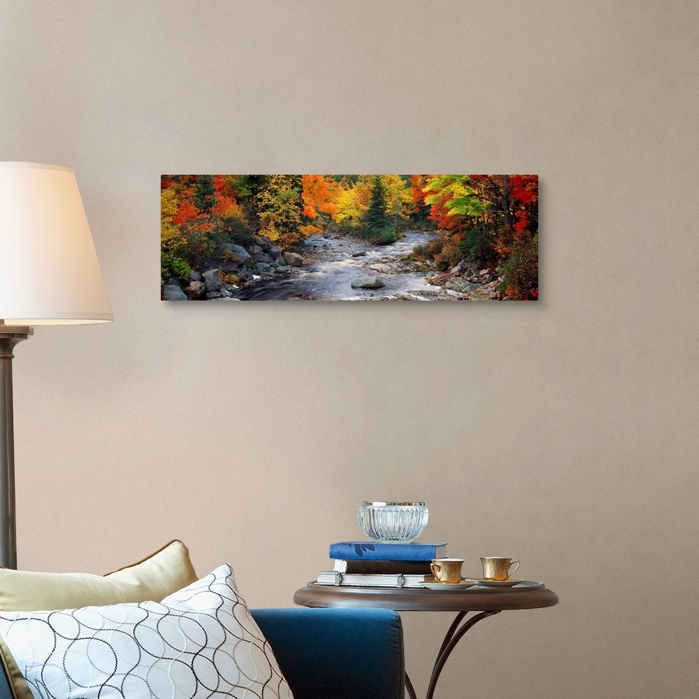 A traditional room featuring Big, panoramic, photographic wall hanging of a stream with large rocks, flowing through a bright ...