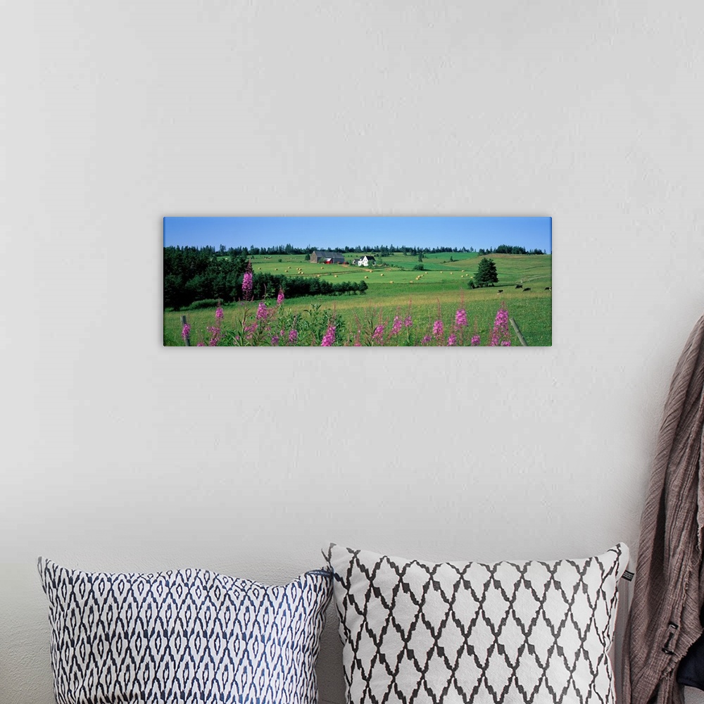A bohemian room featuring Summer Fields and Farm Prince Edward Island Canada