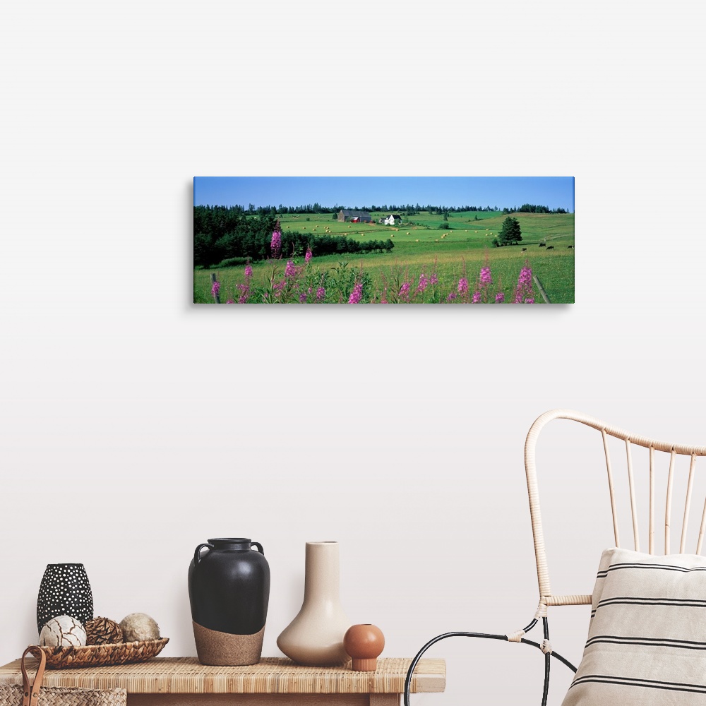 A farmhouse room featuring Summer Fields and Farm Prince Edward Island Canada