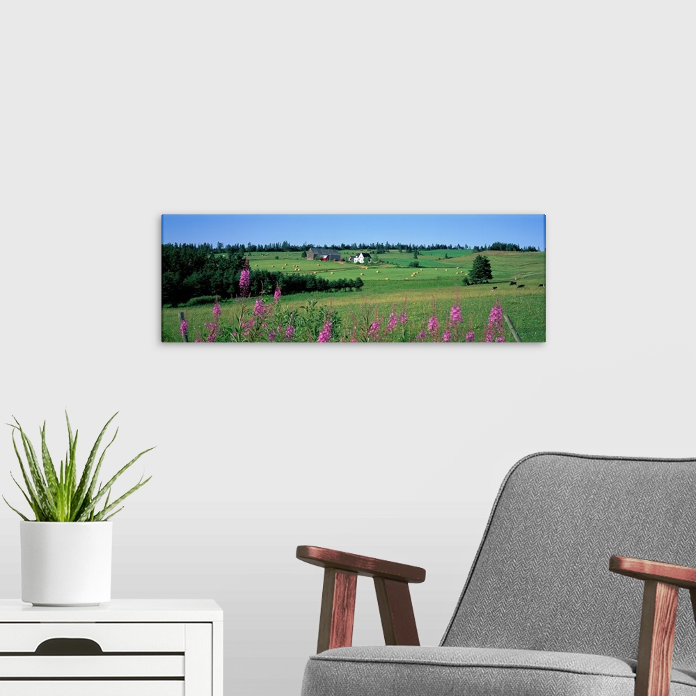 A modern room featuring Summer Fields and Farm Prince Edward Island Canada