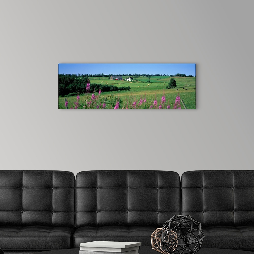 A modern room featuring Summer Fields and Farm Prince Edward Island Canada