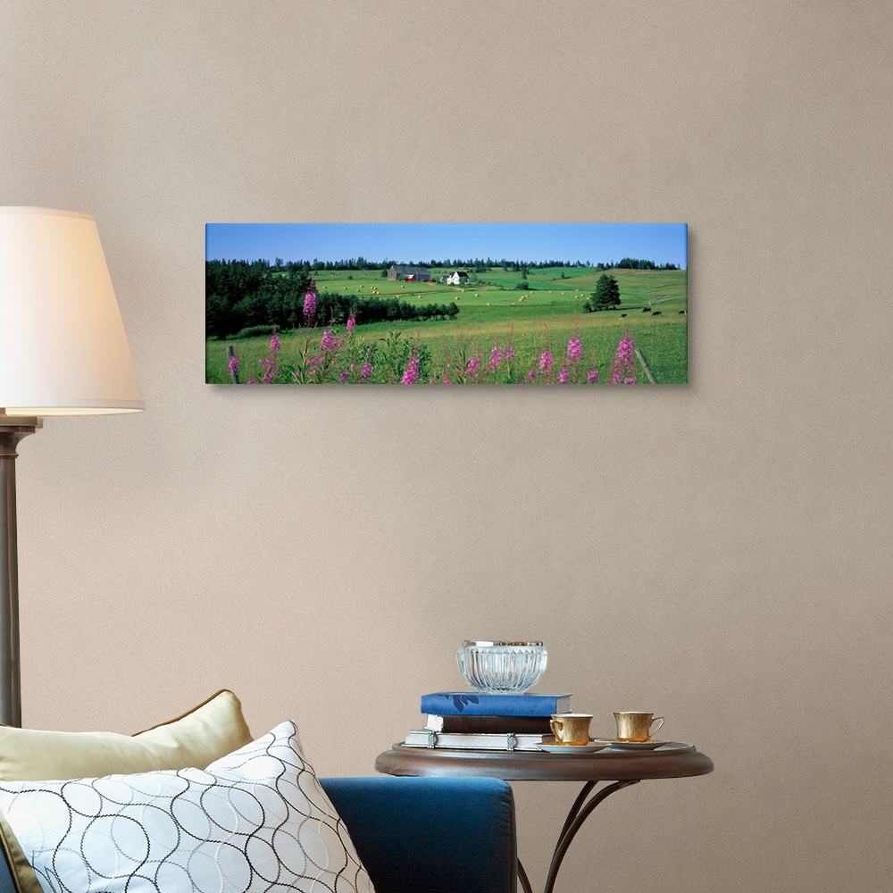 A traditional room featuring Summer Fields and Farm Prince Edward Island Canada
