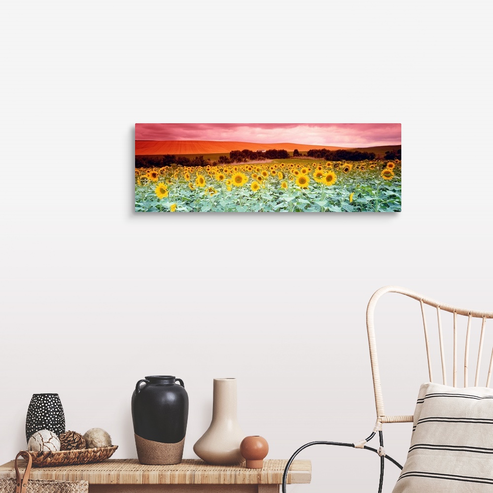 A farmhouse room featuring A panoramic photograph of a field of flowers and farmland in the distance on an overcast day.