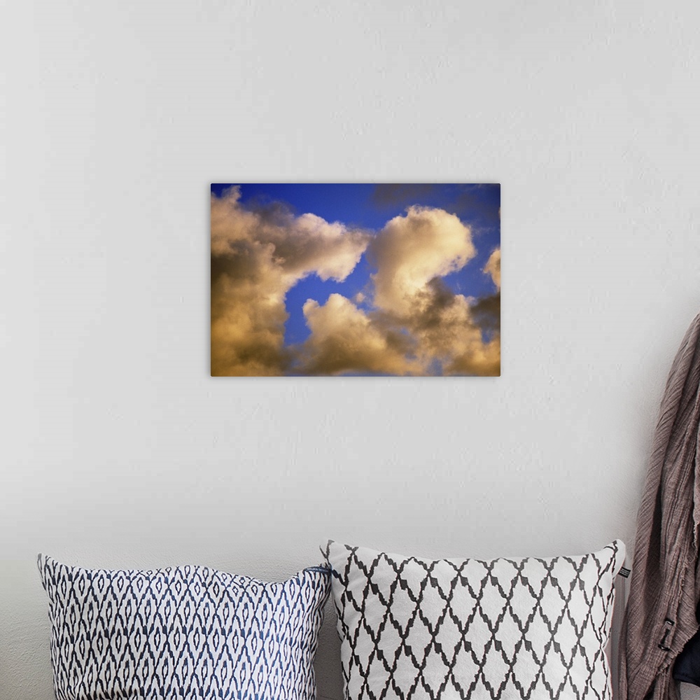 A bohemian room featuring Sunlight on billowing clouds, blue sky.
