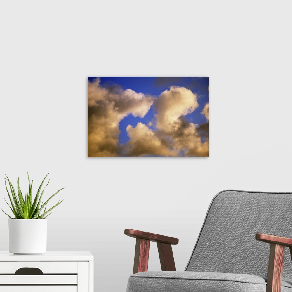 A modern room featuring Sunlight on billowing clouds, blue sky.