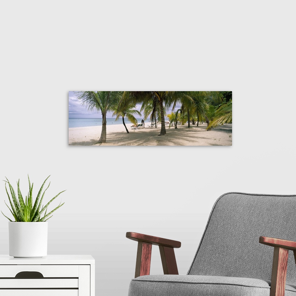 A modern room featuring Panoramic photograph of palm trees on shoreline with ocean in the distance.  There are beach goer...