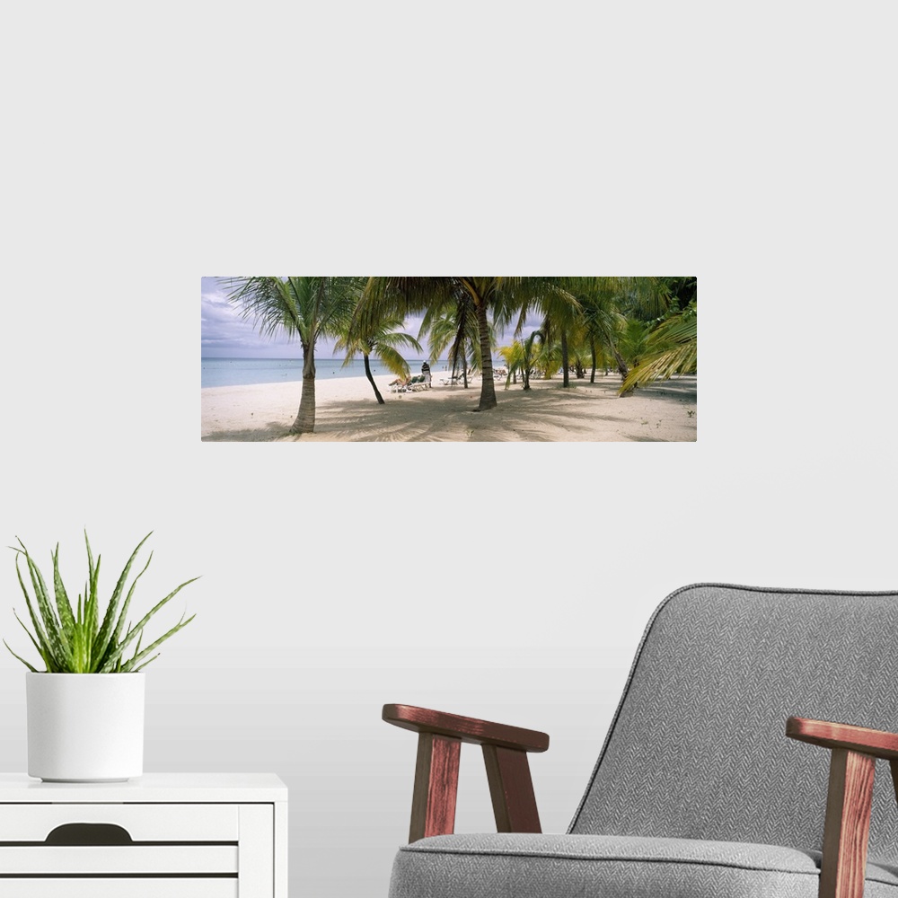 A modern room featuring Panoramic photograph of palm trees on shoreline with ocean in the distance.  There are beach goer...