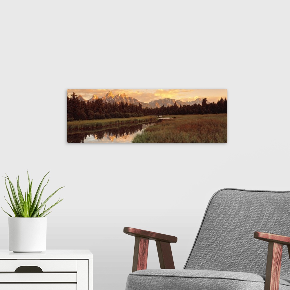 A modern room featuring Panoramic photograph shows a vast landscape filled with thick forests and a snow capped mountain ...