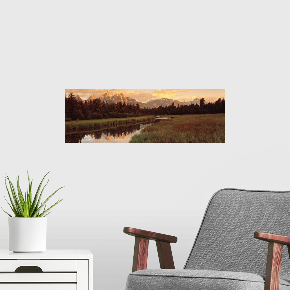 A modern room featuring Panoramic photograph shows a vast landscape filled with thick forests and a snow capped mountain ...