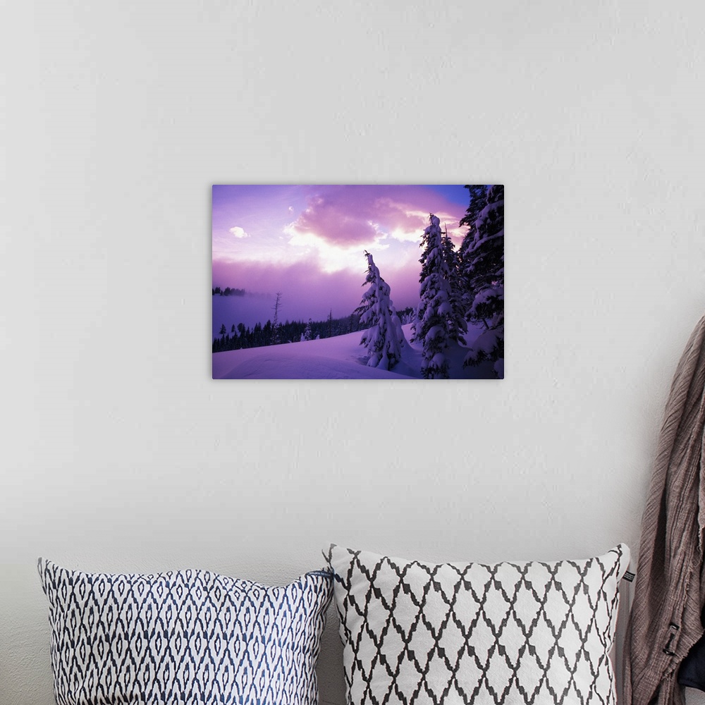 A bohemian room featuring Sunrise light, snow-covered pine trees, Oregon Cascades, Oregon, united states,
