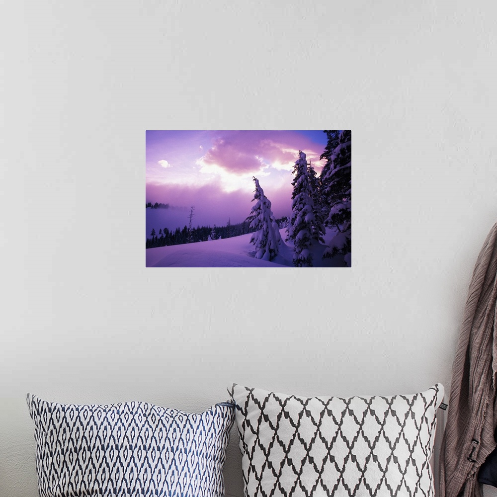 A bohemian room featuring Sunrise light, snow-covered pine trees, Oregon Cascades, Oregon, united states,