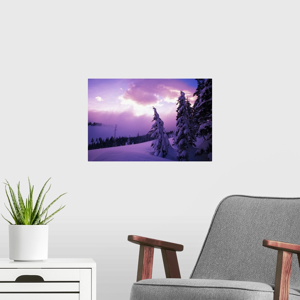 A modern room featuring Sunrise light, snow-covered pine trees, Oregon Cascades, Oregon, united states,