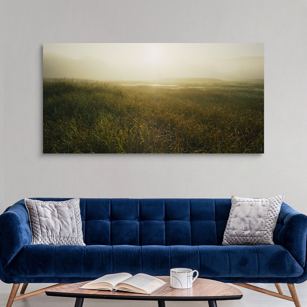 A modern room featuring Sunrise over a marsh, California