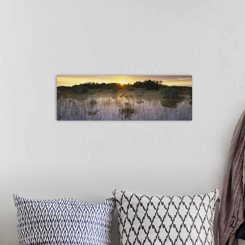 A bohemian room featuring Sunrise over a pond, Everglades National Park, Florida