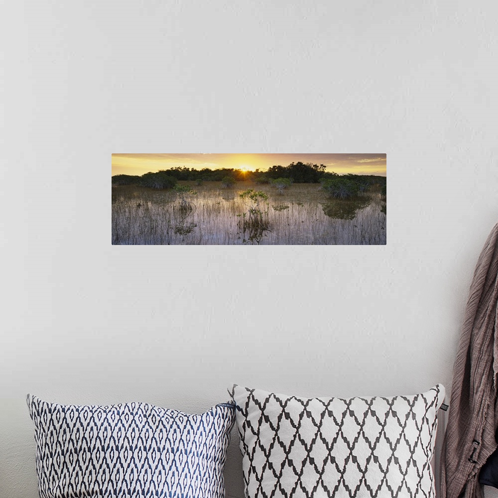 A bohemian room featuring Sunrise over a pond, Everglades National Park, Florida