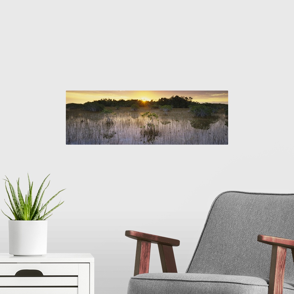 A modern room featuring Sunrise over a pond, Everglades National Park, Florida