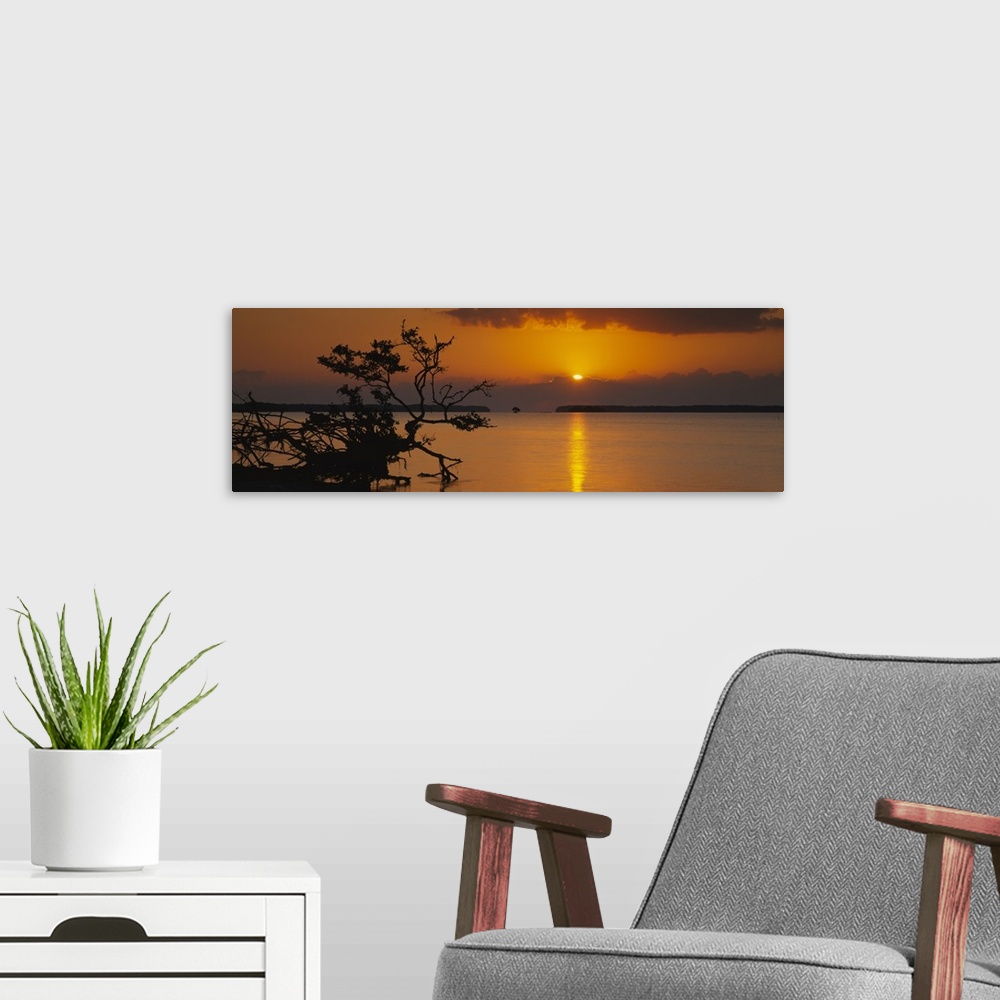 A modern room featuring Sunrise over bay, Florida Bay, Everglades National Park, Florida