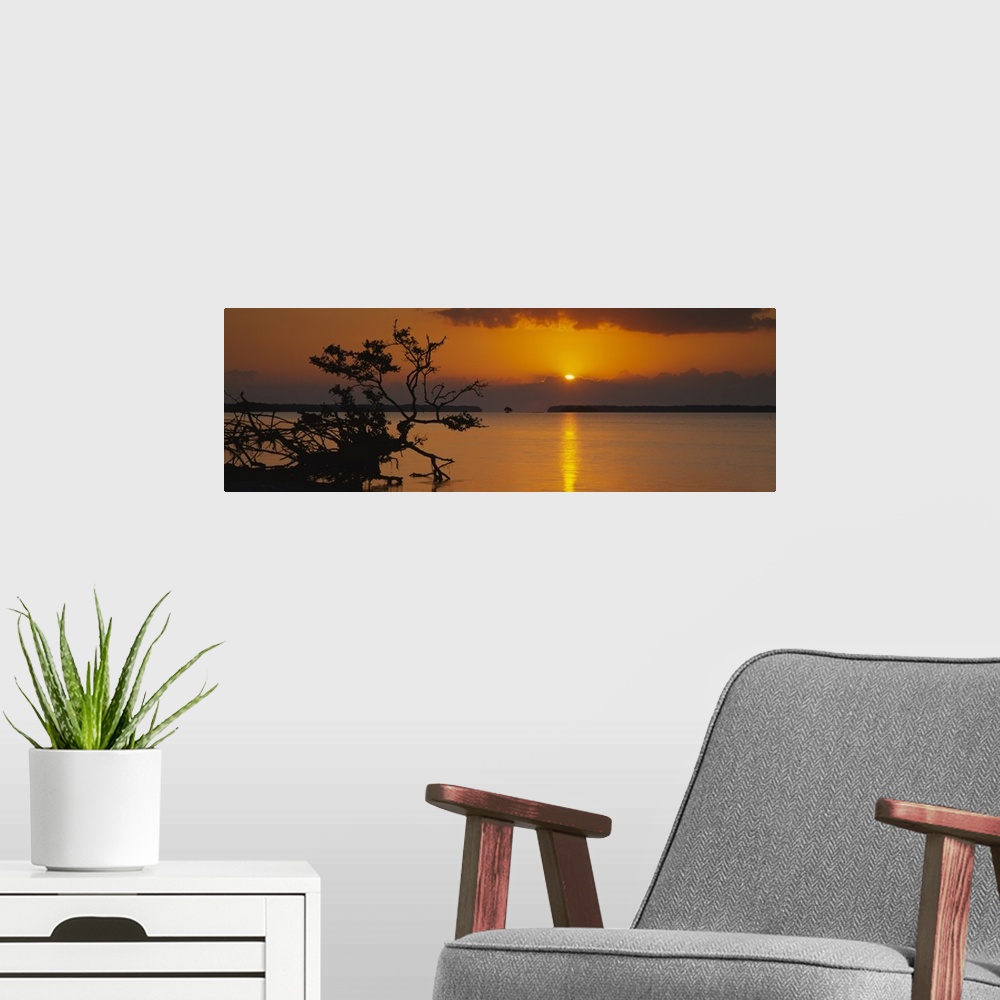 A modern room featuring Sunrise over bay, Florida Bay, Everglades National Park, Florida
