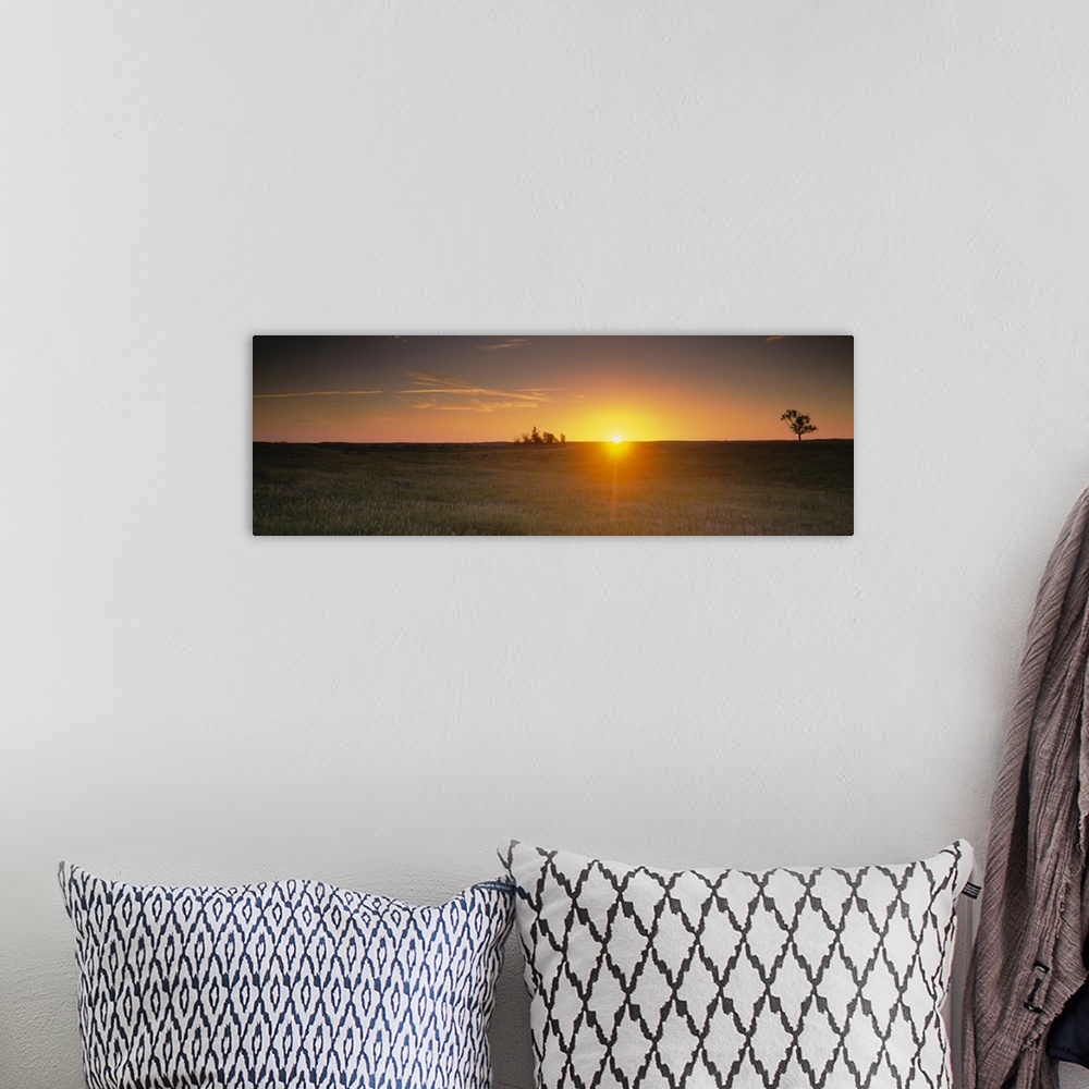 A bohemian room featuring Panoramic picture taken of the sun rising just over the horizon and onto a massive grass plain.