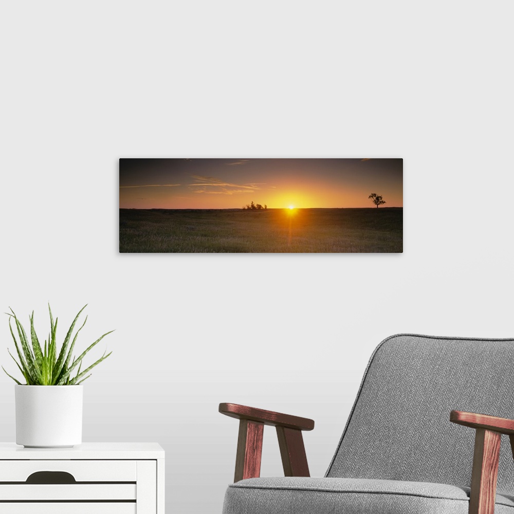 A modern room featuring Panoramic picture taken of the sun rising just over the horizon and onto a massive grass plain.