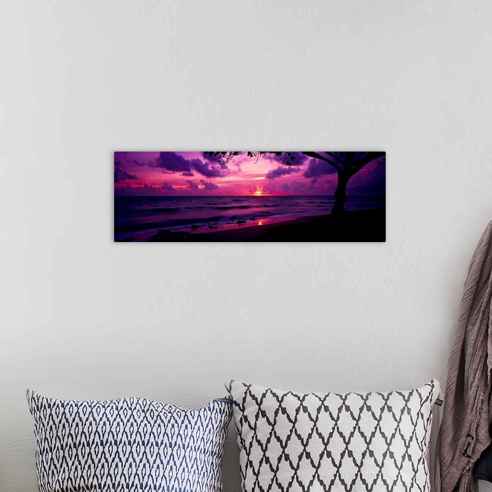 A bohemian room featuring Panoramic photograph of beach at dawn with silhouette of a huge tree in the foreground.  The sky ...