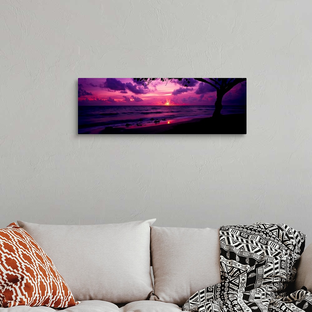A bohemian room featuring Panoramic photograph of beach at dawn with silhouette of a huge tree in the foreground.  The sky ...