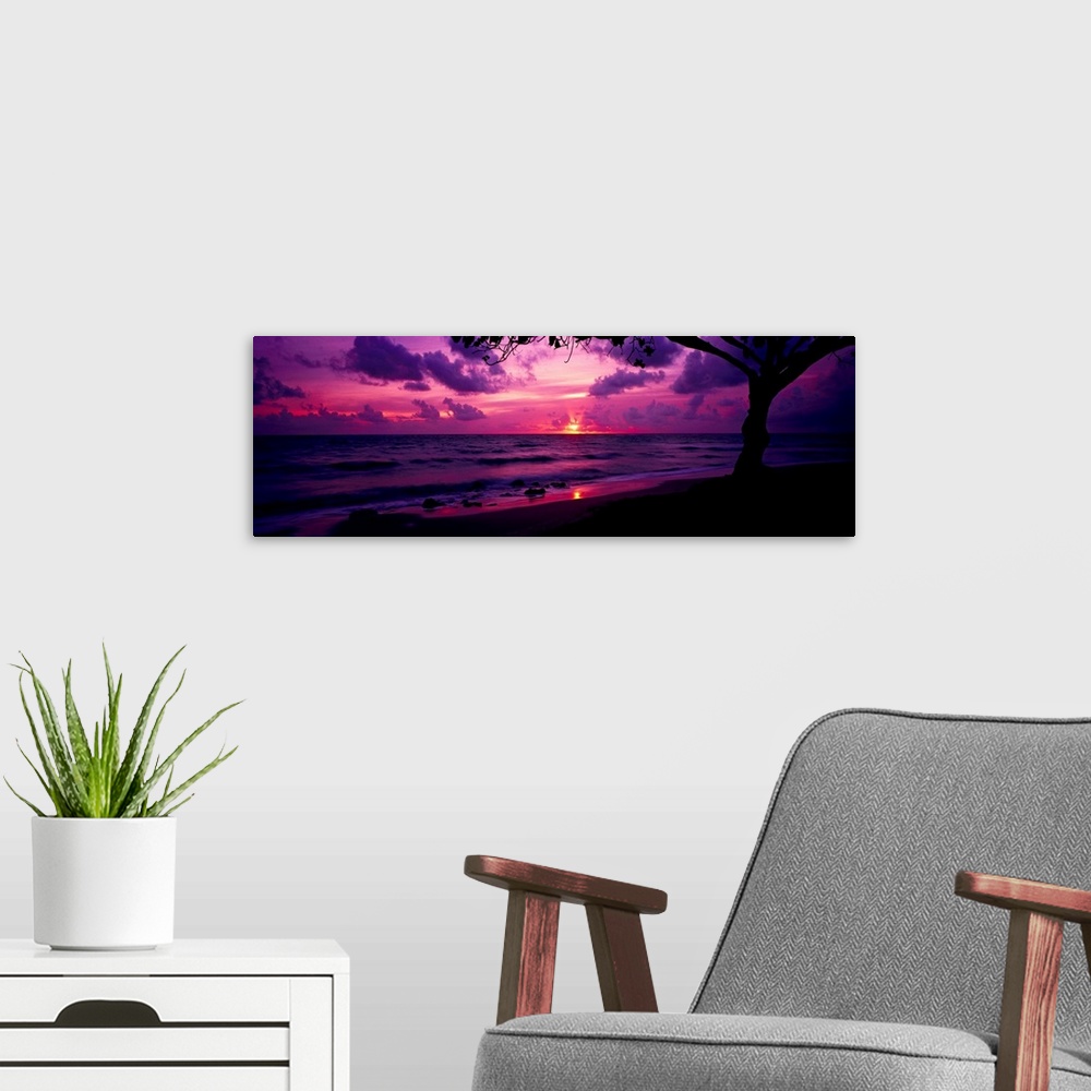 A modern room featuring Panoramic photograph of beach at dawn with silhouette of a huge tree in the foreground.  The sky ...