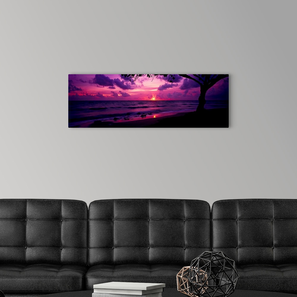 A modern room featuring Panoramic photograph of beach at dawn with silhouette of a huge tree in the foreground.  The sky ...