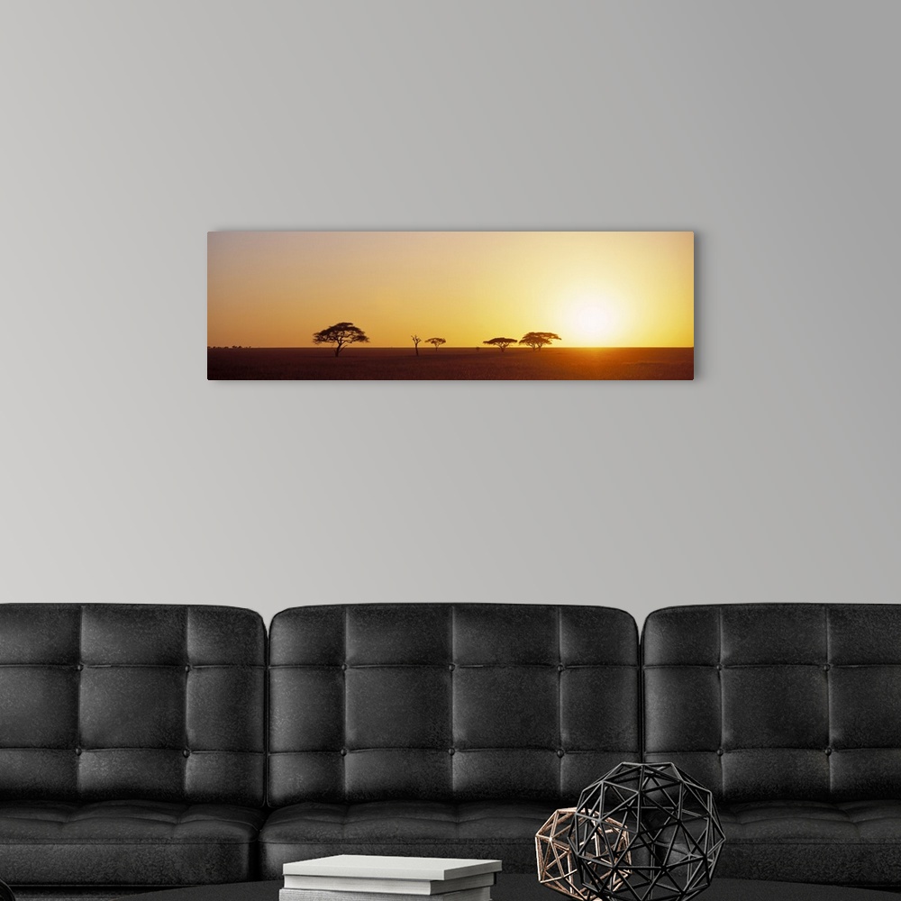 A modern room featuring Panoramic photograph of desert  at dawn with tree silhouettes.