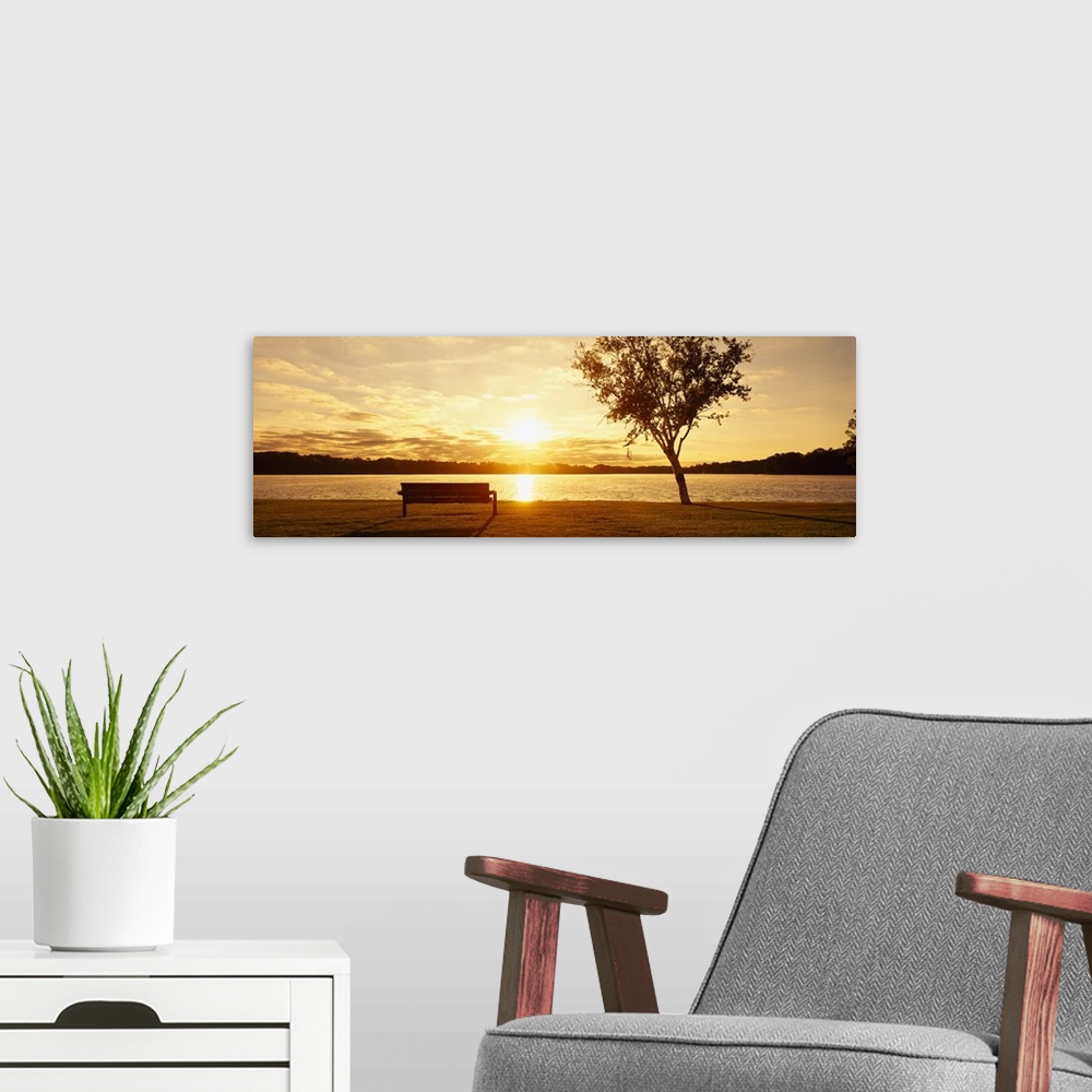 A modern room featuring Sunrise with Bench and Birch Tree